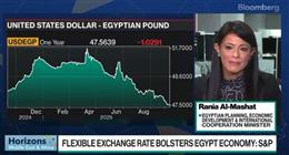 المشاط: رؤية السيسي أرست السلام.. وتسوية حرب غزة مفتاح استقرار الاقتصاد العالمي