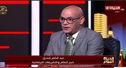 خبير نظم: انتخابات «النواب» 2025 تشهد صعودا قويا للكوادر الشابة