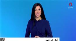 أمل الحناوي: اتفاق شرم الشيخ نجح في غلق صفحة أليمة بتاريخ البشرية
