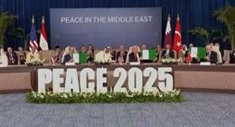 عضو بـ«الشيوخ»: نجاح قمة شرم الشيخ يؤكد عدم تخلي مصر عن القضية الفلسطينية