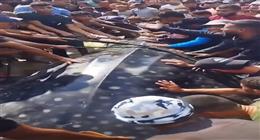 معلومات عن حوت خان يونس العملاق في غزة.. مهدد بالانقراض ولا يشكل خطرا على البشر