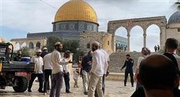 استفزازات جديدة للمستوطنون في مدينة القدس المحتلة.. طقوس تلمودية في باحات الأقصى 