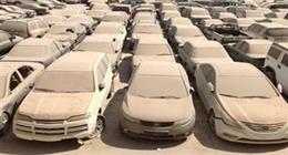 مزاد حكومي علني لبيع السيارات.. وخبير: الحالة الفنية ومستوى الطلب يحددان السعر النهائي