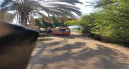مصرع شاب بطريق قرية بني محمديات في أسيوط  