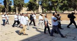 مستوطنون يمارسون طقوسا تلمودية في باحات المسجد الأقصى بعد اقتحامه