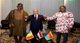 وزير الخارجية يجدد تأكيد دعم مصر الكامل لجهود مالي وبوركينا فاسو في مكافحة الإرهاب