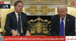 الناتو: نريد أن يفهم بوتين وجهة نظر الرئيس ترامب للتفاوض في إنهاء الحرب بأوكرانيا