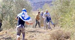 الاحتلال يُصعد في الضفة والقدس المحتلة.. والمستوطنون يحرقون الممتلكات