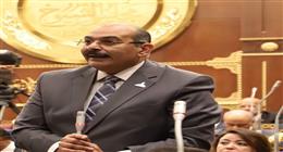 نائب رئيس برلمانية حماة الوطن بـ«الشيوخ»: نسعى لتحويل رؤية الحزب إلى واقع ملموس