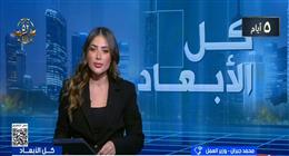 وزير العمل: حملات تفتيش لضمان تطبيق الحد الأدنى للأجور وحماية العمال