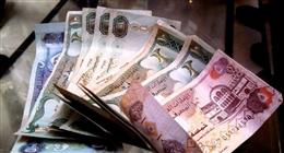 سعر الدرهم الإماراتي مقابل الجنيه المصري اليوم الاثنين 27-10-2025