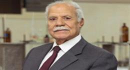 «العربي الناصري»: يجب على الدول العربية توحيد جهودها في إعادة إعمار غزة