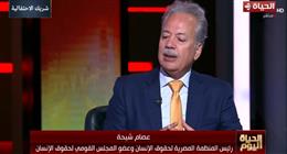 المنظمة المصرية لحقوق الإنسان: تحالفات مرنة بين 12 حزبا تميز انتخابات «النواب»