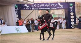 محافظ الشرقية يشهد انطلاق مسابقات تراث أدب الخيل بمهرجان الخيول العربية