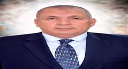 أبراج إنترنت فائق السرعة تربط «الخارجة – أبو طرطور» في الوداي الجديد بالعالم الرقمي
