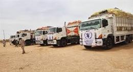 تفريغ شاحنات مساعدات جنوب كردفان السودانية لأول مرة منذ عام