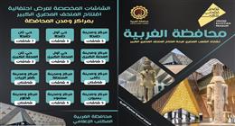 بـ47 شاشة عرض.. شوارع الغربية تستعد لافتتاح المتحف المصري الكبير