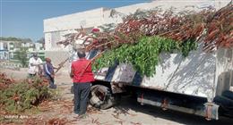 استمرار تطوير ورفع كفاءة المقابر القديمة بزهور بورسعيد