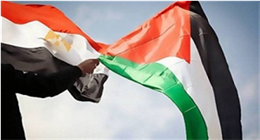 كيف قادت الدبلوماسية المصرية أزمة غزة نحو الحل؟.. نواب يجيبون