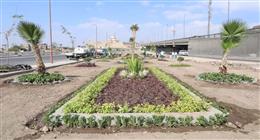 «التنمية المحلية» تتلقى تقريرا حول مستجدات تحويل محور صلاح سالم إلى متحف نباتي مفتوح 
