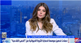 «الثروة الحيوانية»: إطلاق 3 حملات قومية لتحصين الماشية ضد الحمى القلاعية