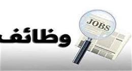 وظائف شاغرة بمديرية التضامن في بورسعيد.. اعرف الشروط