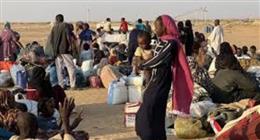 إشادة بالدور المصري المحوري في دعم السودان خلال الأزمة الإنسانية