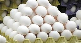 انخفاض جديد في سعر كرتونة البيض.. شعبة المواد الغذائية تكشف الأسباب