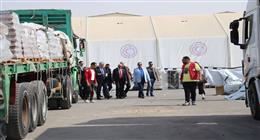 وصول سفينة المساعدات التركية إلى ميناء العريش البحري