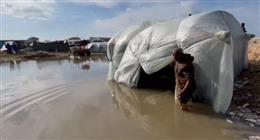 أستاذ علوم سياسية: قرار مجلس الأمن بشأن غزة يحمل جوانب إيجابية ويعزز وقف إطلاق النار