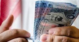 سعر الريال السعودي مقابل الجنيه المصري اليوم الأحد 16-11-2025