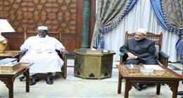 الطيب: الأزهر مستعد لزيادة المنح الدراسية لأبناء تشاد