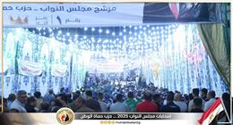 «حماة الوطن» ينظم مؤتمرا جماهيريا بقرية دنوشر بالغربية دعما لمرشحه في انتخابات النواب