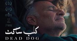 «متشوقين نعرض الفيلم للجمهور المصري».. سارة فرانسيس تكشف حكاية «كلب ساكن» 