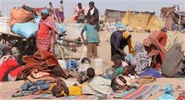 الجيش السوداني يستهدف تجمعات الدعم السريع في شمال كردفان