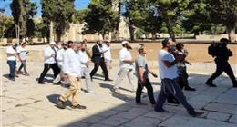 الأردن يدين اقتحامات المتطرفين للمسجد الأقصى