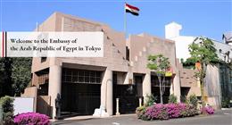 بدء تصويت المصريين في الكوريتين واليابان بالمرحلة الثانية من انتخابات النواب