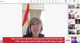 انتظام تصويت المصريين بالخارج في ثاني أيام المرحلة الثانية لانتخابات «النواب»
