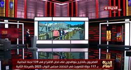 إقبال المصريين بالخارج على التصويت في اليوم الثاني لانتخابات مجلس النواب