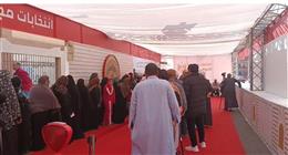 عضو بـ«الشيوخ»: جماعة الإخوان تستهدف مؤسسات الدولة لتقويض استقرار الوطن