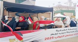 انتخابات النوابي في شرق الدلتا: ارتفاع وتيرة المشاركة قبل بدء الفرز