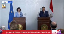 وزير الخارجية: معالجة الهجرة غير الشرعية تبدأ من جذور الأزمات