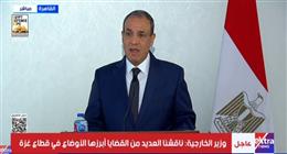 وزير الخارجية: مصر تستضيف أكثر من 10 ملايين لاجئ نصفهم سودانيين