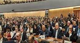 عاجل | مصر تفوز بعضوية مجلس المنظمة البحرية الدولية