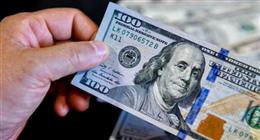  آخر تحديث.. استقرار سعر الدولار مقابل الجنيه المصري بمنتصف التعاملات المسائية
