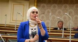 عضو بـ«النواب»: الانتخابات البرلمانية المقبلة نقلة نوعية.. والمشهد يعكس وعيا سياسيا  
