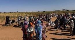 المحكمة الجنائية الدولية تفتح تحقيقات في جرائم «الدعم السريع» بالفاشر