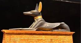 لماذا خصص المصريون القدماء مقابر للكلاب بجانب أصحابها؟.. منحوها أسماء مميزة
