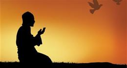فضل صلاة الضحى ووقتها.. عبادة النور والبركة المُغنِية عن الصدقات اليومية