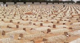 صور أقمار اصطناعية تظهر عمليات دفن جماعي في مدينة الفاشر السودانية